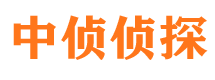 莱西调查公司